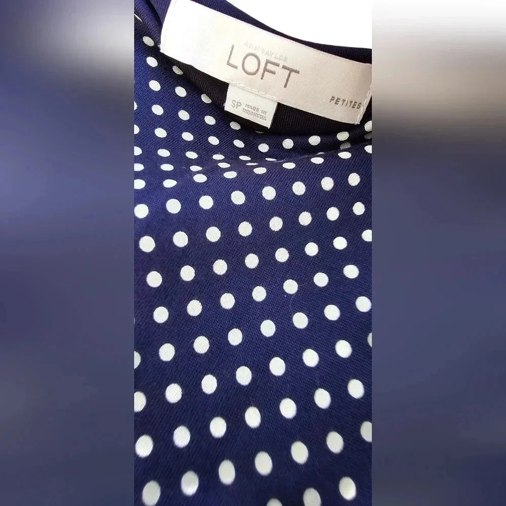 Ann Taylor Loft - Small Petite  - Navy & Biege Polka Dot Dress.​​​​​ - Picture 4 of 5